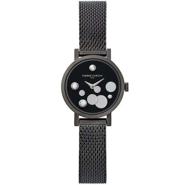 Stylish Ladies' Stainless Steel Watch by Pierre Cardin